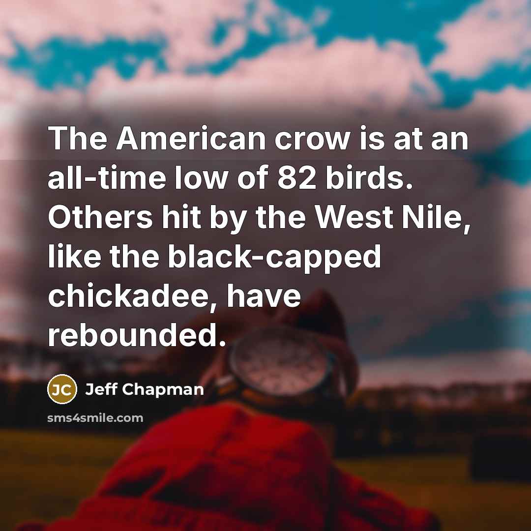 “The American crow is at an all-time low of 82…” quote by Jeff Chapman