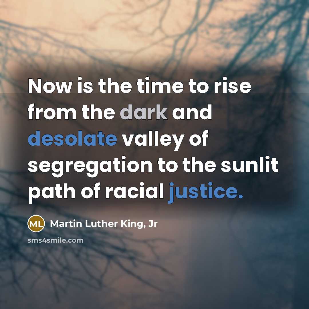 “Now is the time to rise from the dark and…” quote by Martin Luther King, Jr