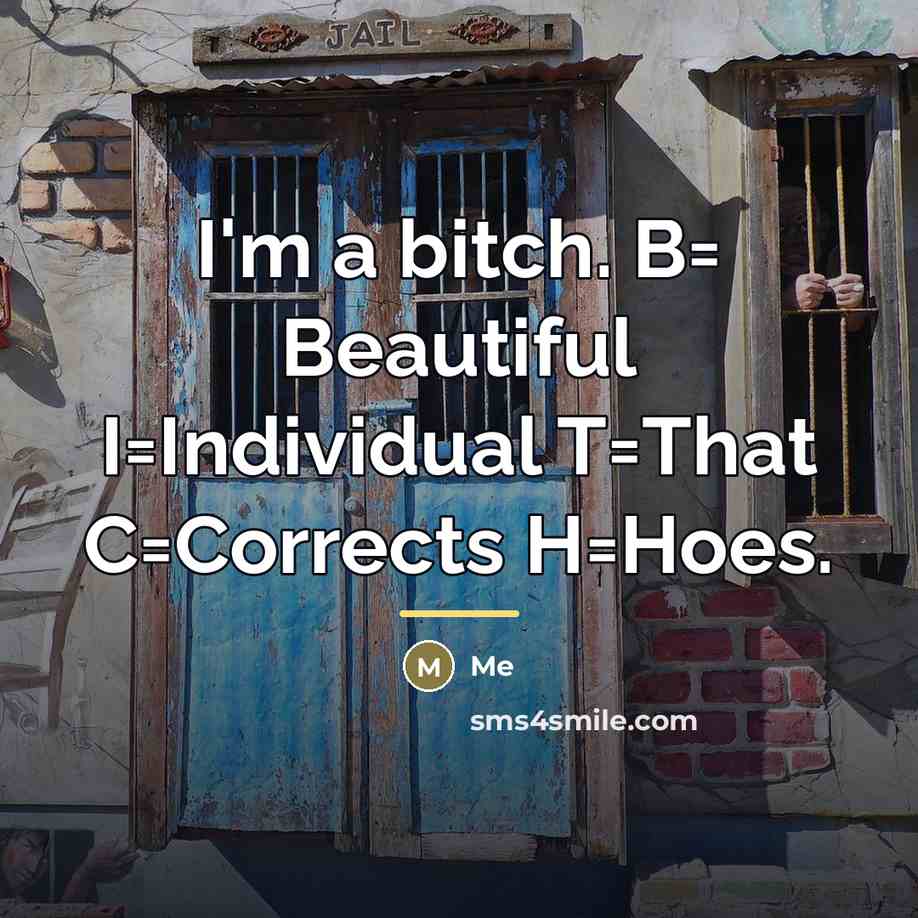 “I'm a bitch. B= Beautiful I=Individual T=That C=Corrects H=Hoes.…” quote by Me