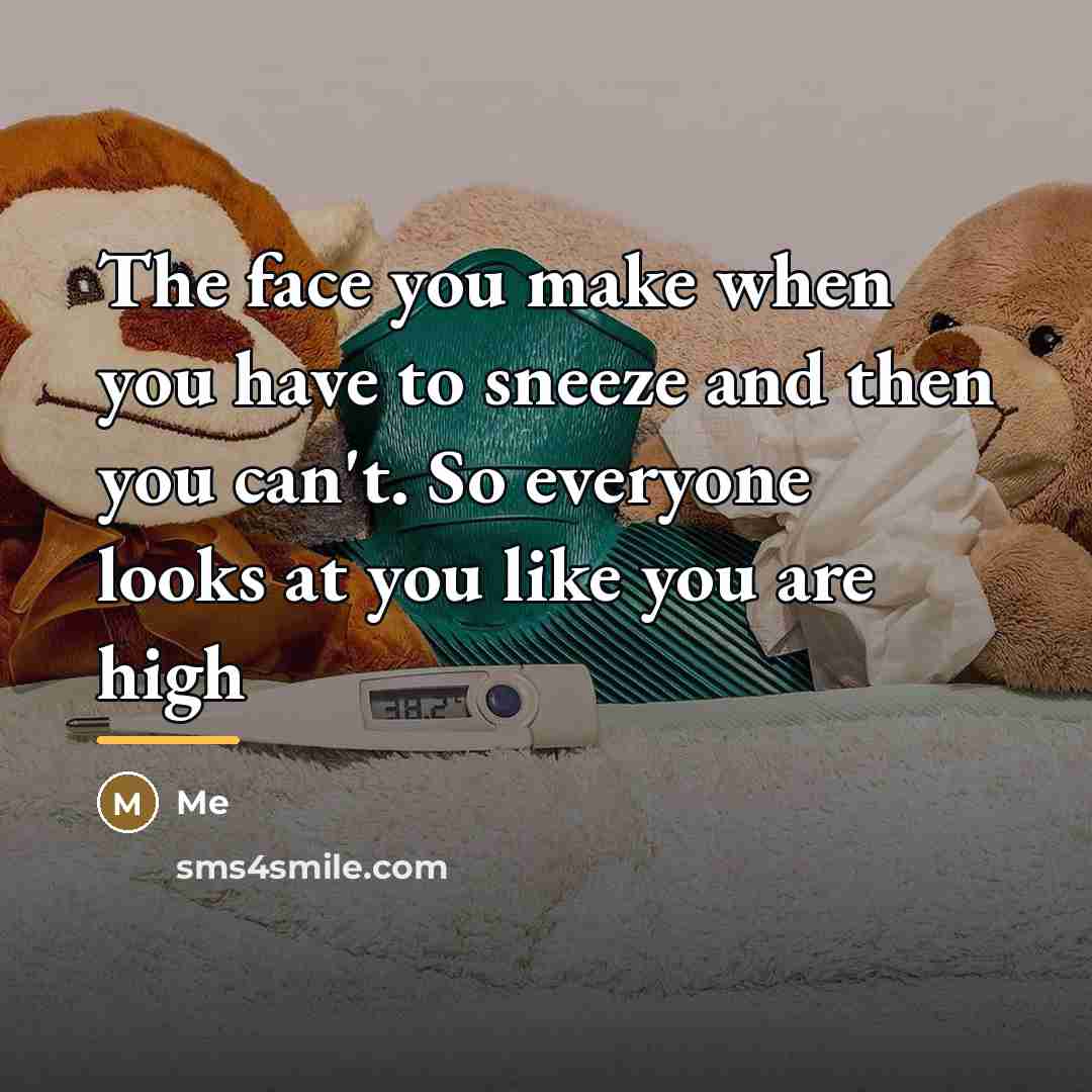 “The face you make when you have to sneeze and…” quote by Me