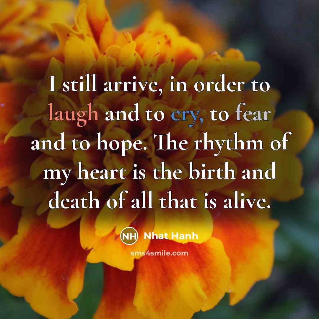 “I still arrive, in order to laugh and to cry,…” quote by Nhat Hanh