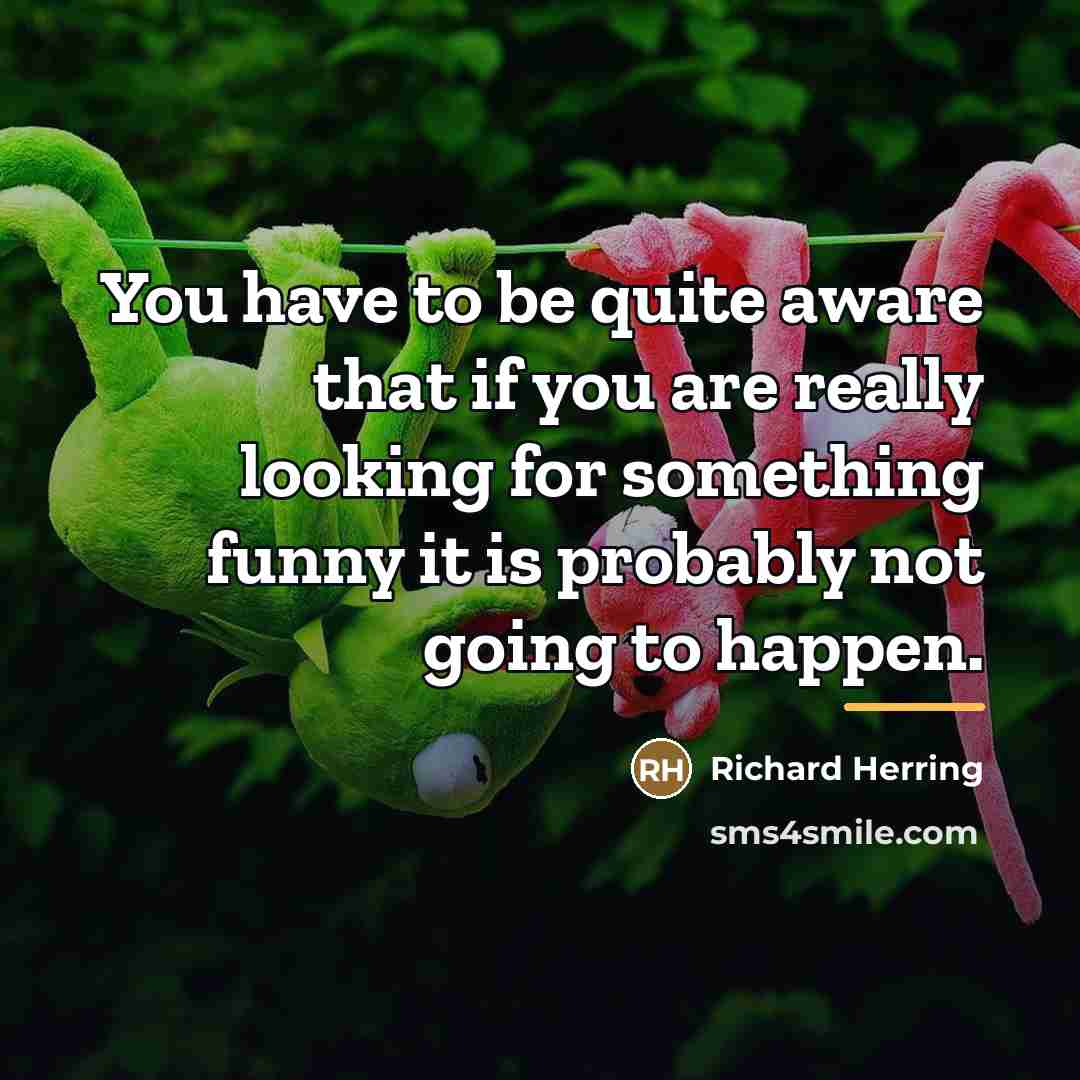 “You have to be quite aware that if you are…” quote by Richard Herring
