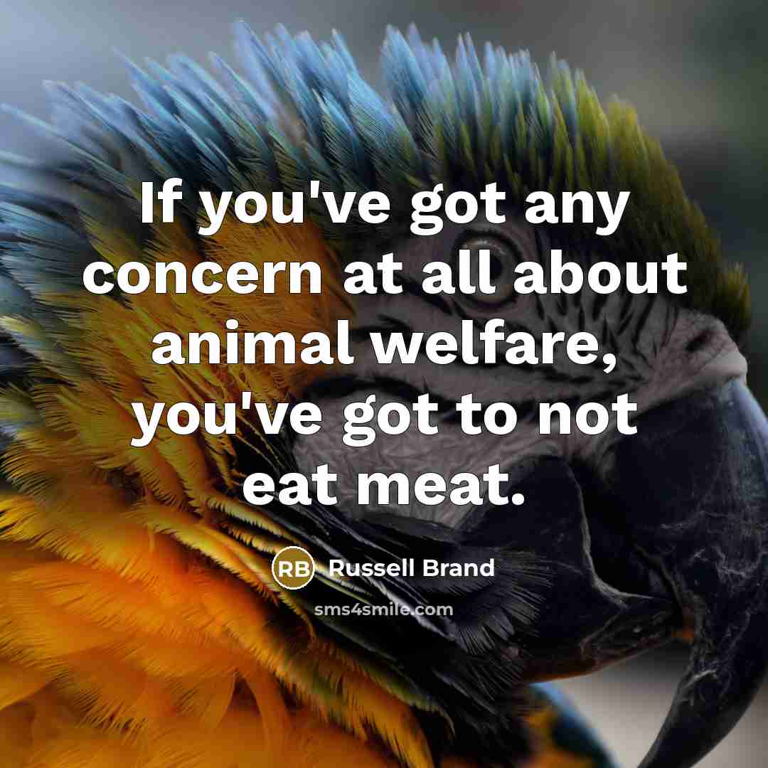 “If you've got any concern at all about animal welfare,…” quote by Russell Brand