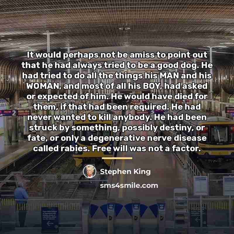 “It would perhaps not be amiss to point out that…” quote by Stephen King