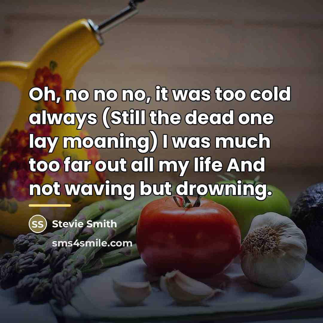 “Oh, no no no, it was too cold always (Still…” quote by Stevie Smith