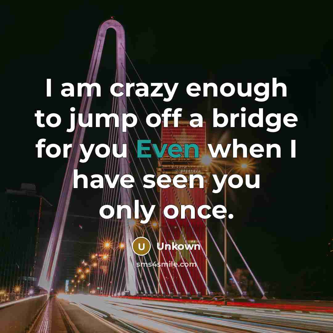 “I am crazy enough to jump off a bridge for you Even when I have seen you only once.” quote by Unkown