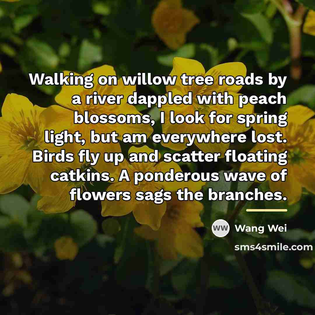 “Walking on willow tree roads by a river dappled with…” quote by Wang Wei