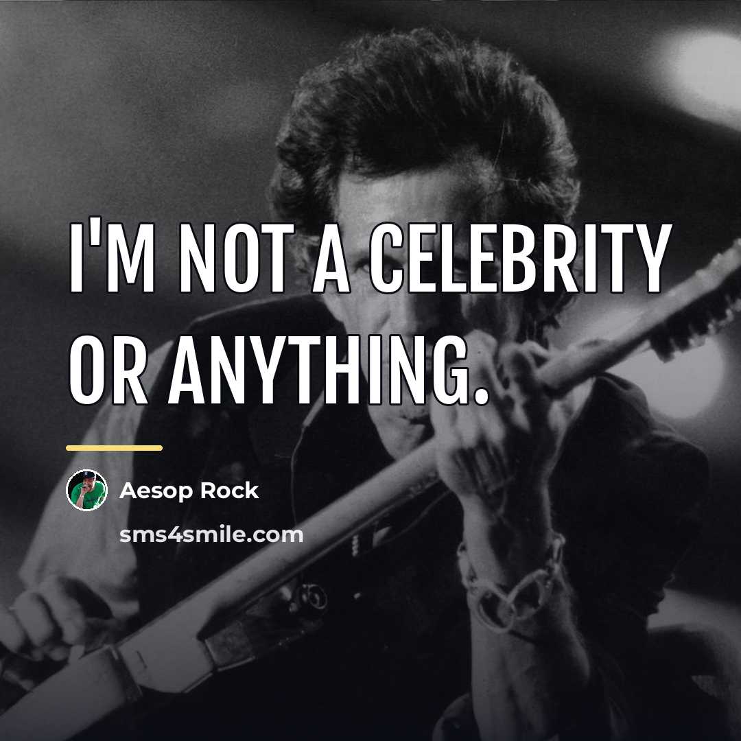 “I'm not a celebrity or anything.…” quote by Aesop Rock