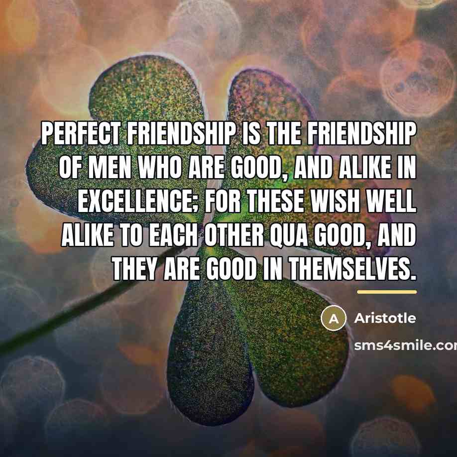 “Perfect friendship is the friendship of men who are good,…” quote by Aristotle