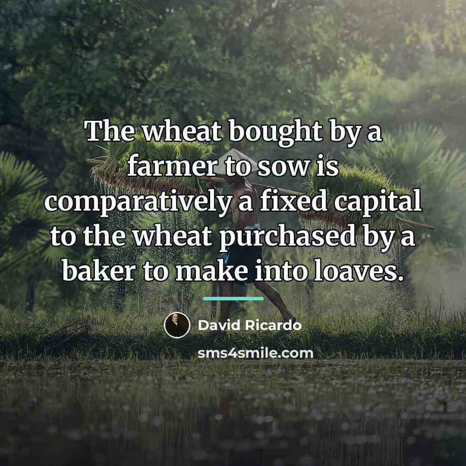 “The wheat bought by a farmer to sow is comparatively…” quote by David Ricardo