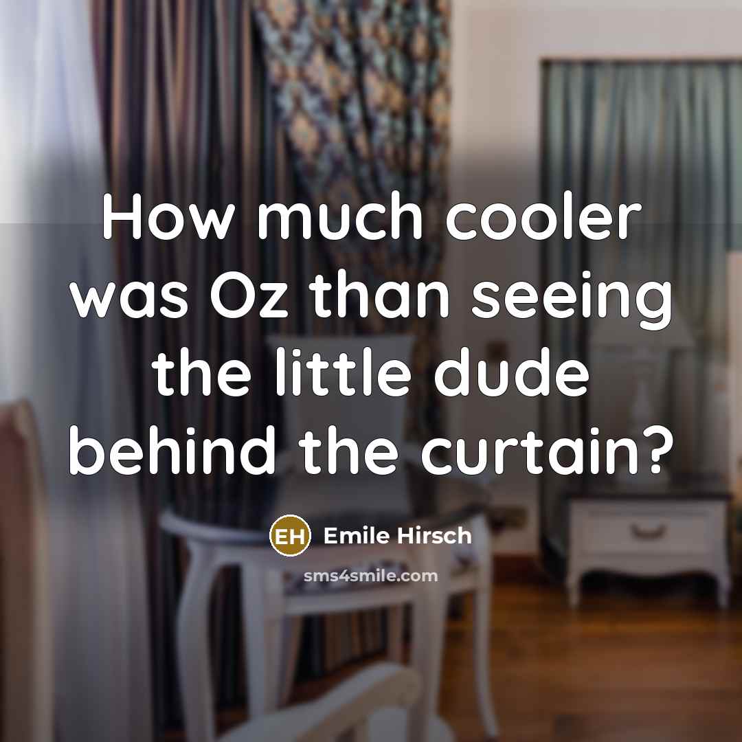 “How much cooler was Oz than seeing the little dude…” quote by Emile Hirsch