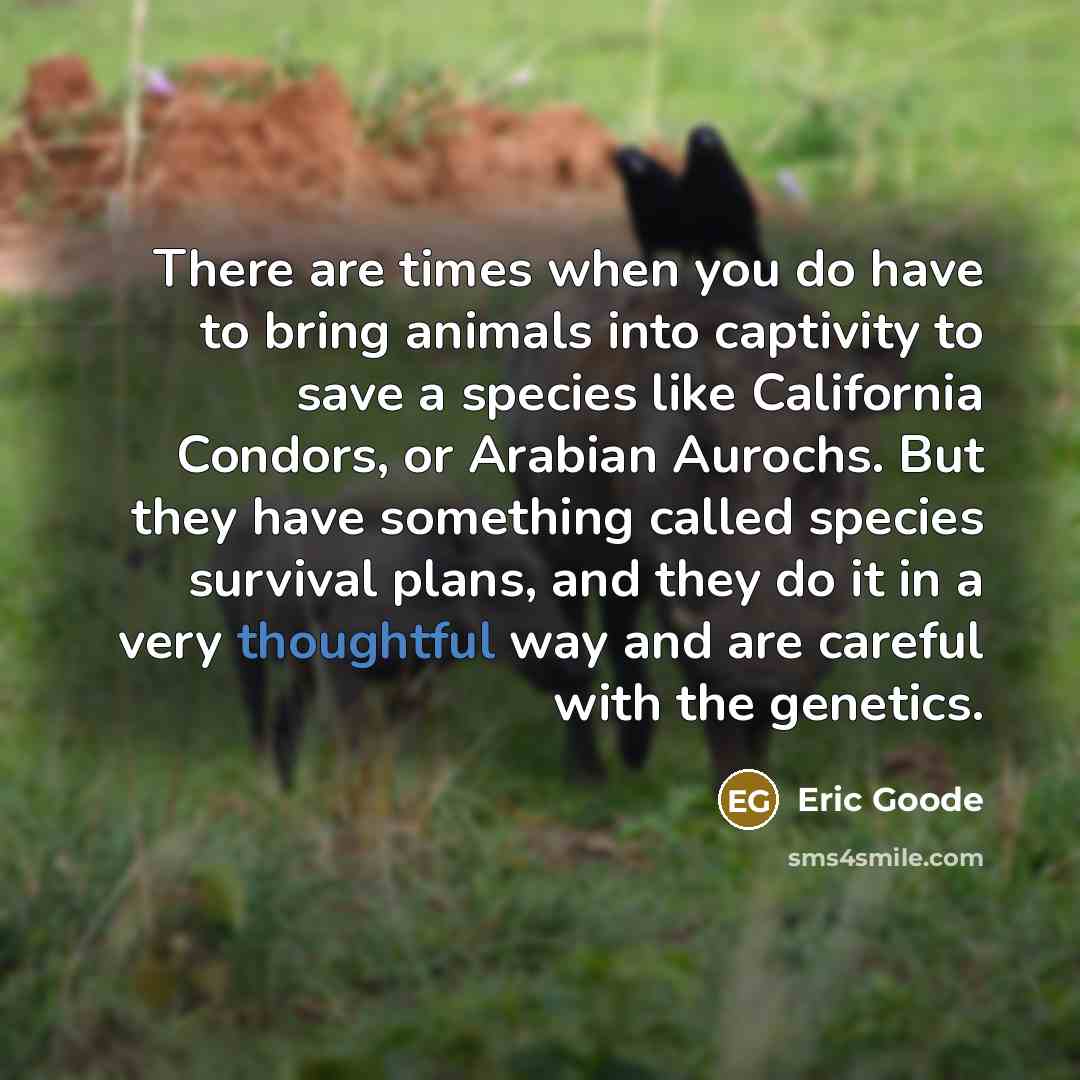 “There are times when you do have to bring animals…” quote by Eric Goode