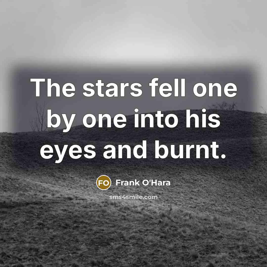 “The stars fell one by one into his eyes and…” quote by Frank O'Hara