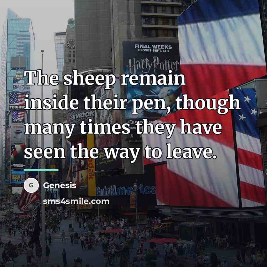 “The sheep remain inside their pen, though many times they…” quote by Genesis