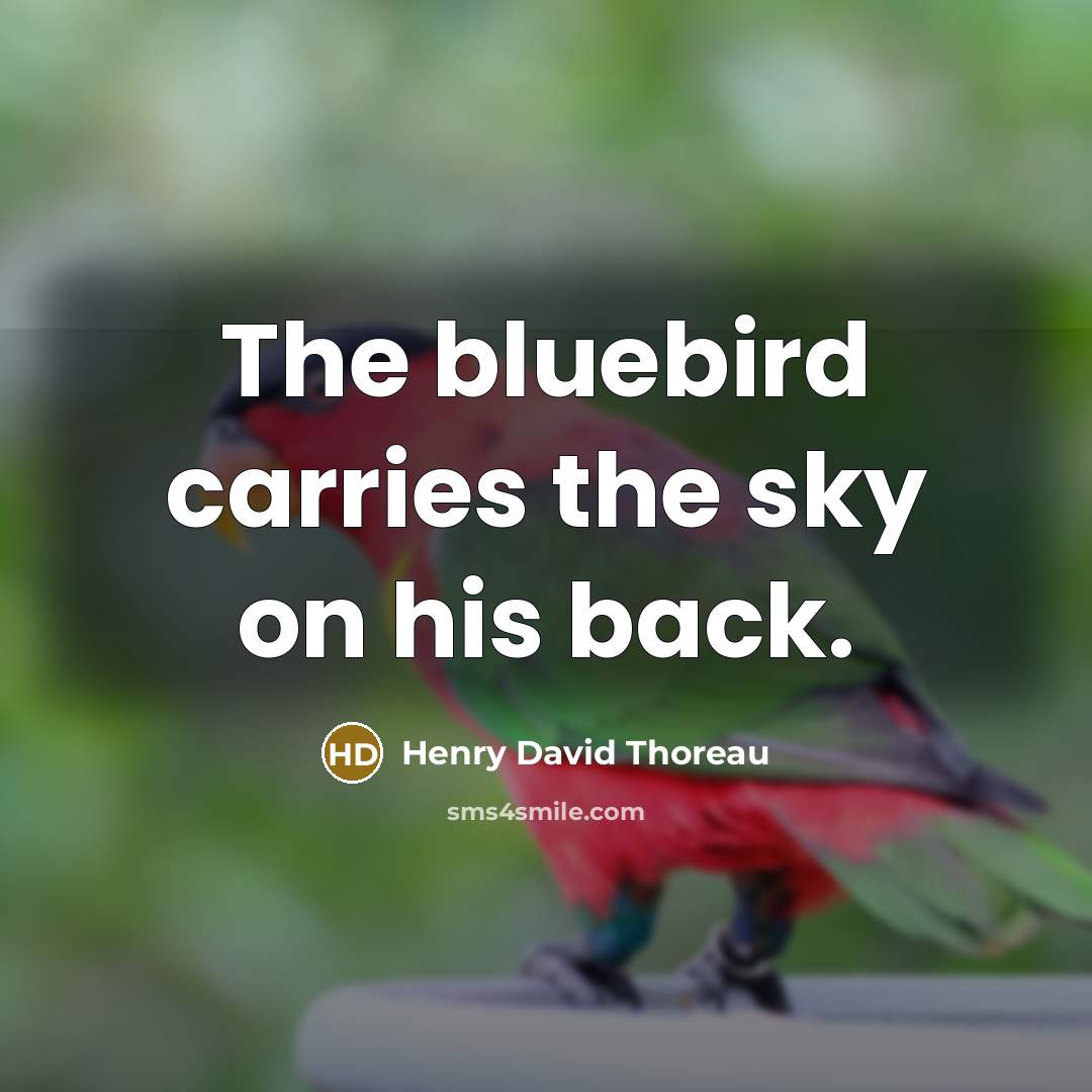 “The bluebird carries the sky on his back.” quote by Henry David Thoreau