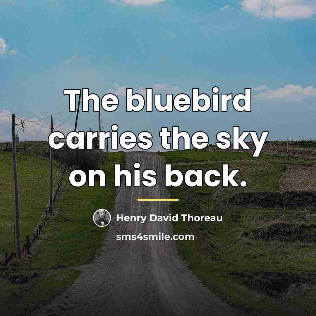 “The bluebird carries the sky on his back.…” quote by Henry David Thoreau