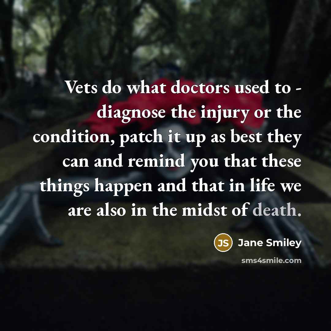 “Vets do what doctors used to - diagnose the injury…” quote by Jane Smiley