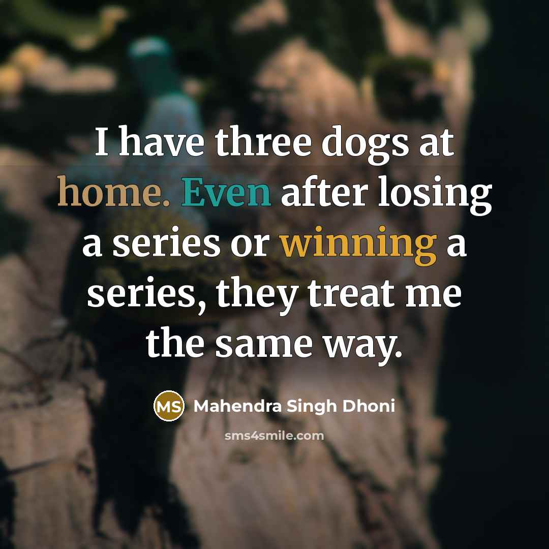 “I have three dogs at home. Even after losing a series or winning a series, they treat me the same way.” quote by Mahendra Singh Dhoni