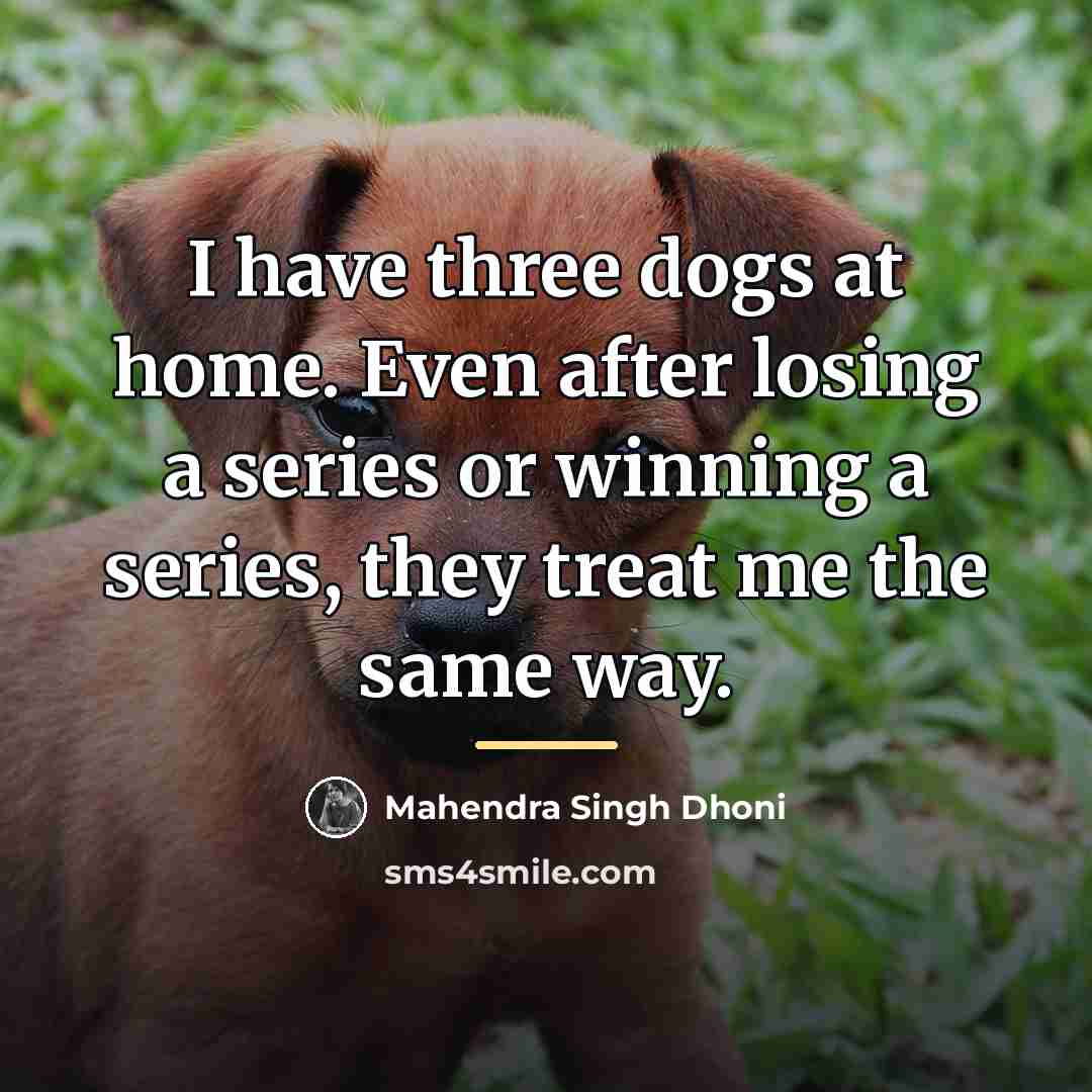 “I have three dogs at home. Even after losing a…” quote by Mahendra Singh Dhoni