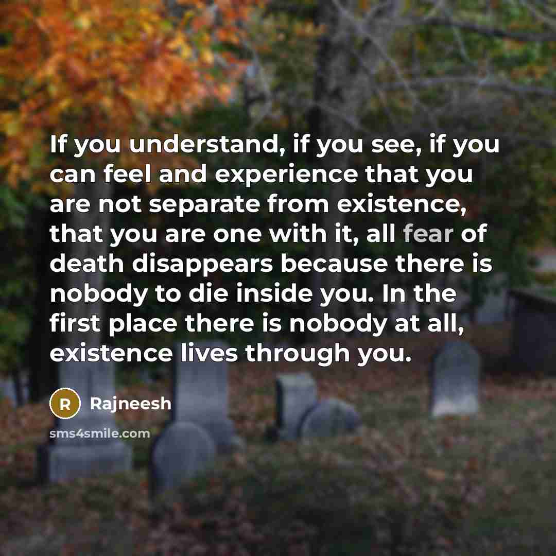 “If you understand, if you see, if you can feel…” quote by Rajneesh