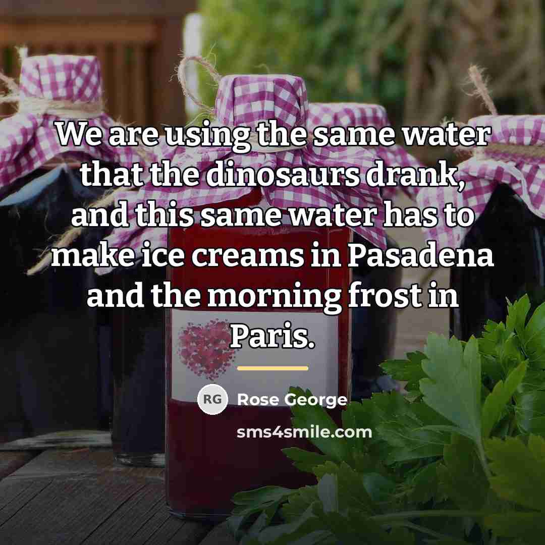 “We are using the same water that the dinosaurs drank,…” quote by Rose George
