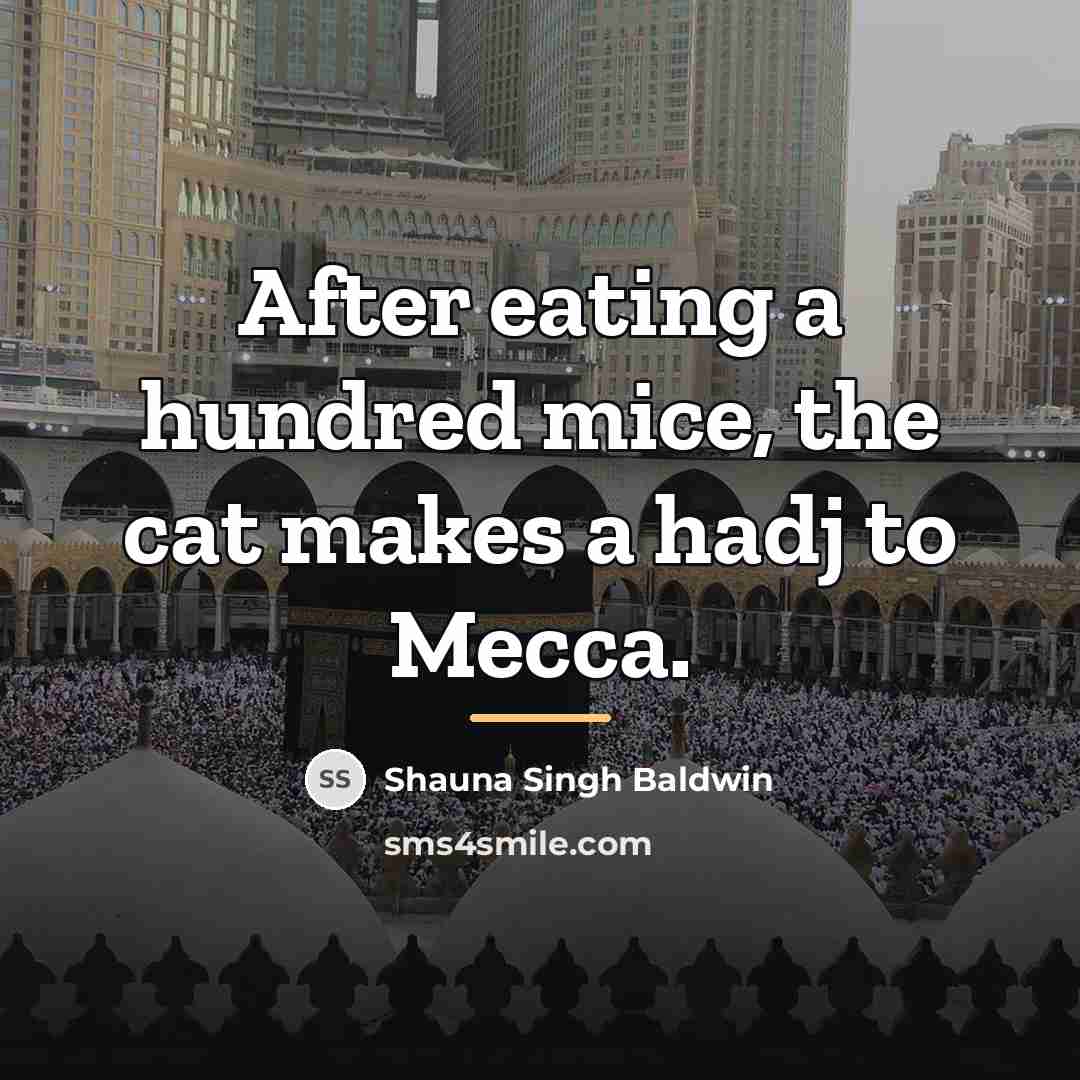 “After eating a hundred mice, the cat makes a hadj…” quote by Shauna Singh Baldwin