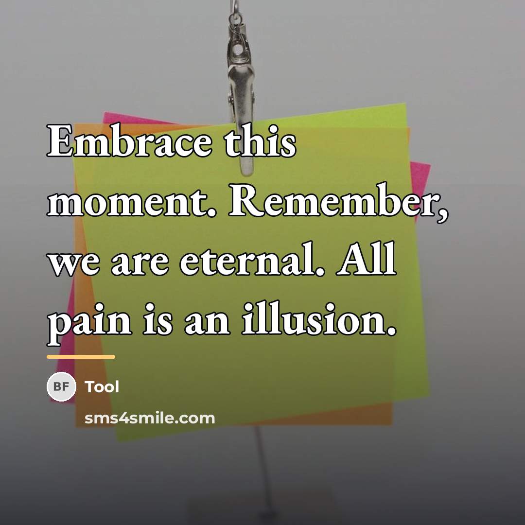 “Embrace this moment. Remember, we are eternal. All pain is…” quote by Tool