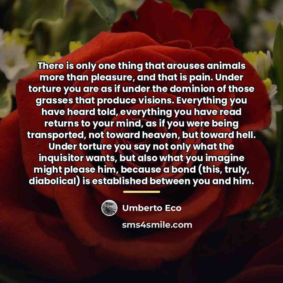 “There is only one thing that arouses animals more than…” quote by Umberto Eco