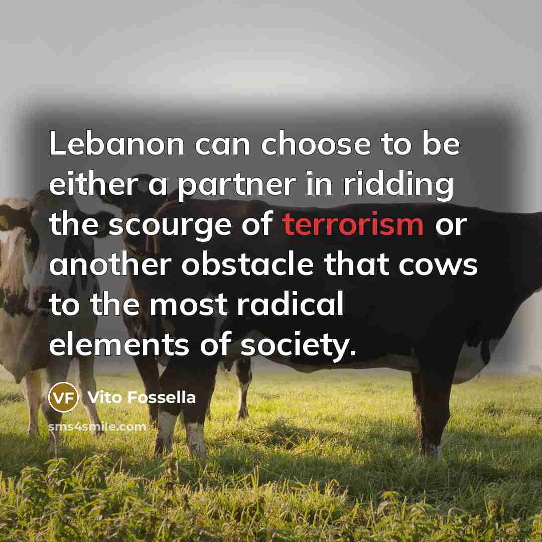 “Lebanon can choose to be either a partner in ridding…” quote by Vito Fossella