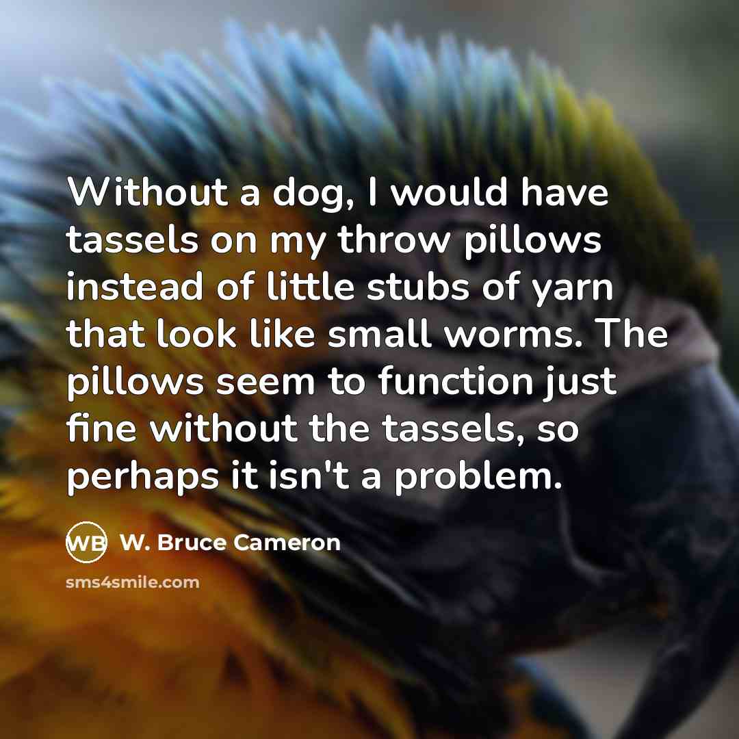 “Without a dog, I would have tassels on my throw pillows instead of little stubs of yarn that look like small worms. The pillows seem to function just fine without the tassels, so perhaps it isn't a problem.” quote by W. Bruce Cameron