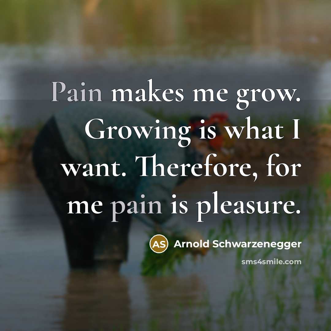 “Pain makes me grow. Growing is what I want. Therefore,…” quote by Arnold Schwarzenegger