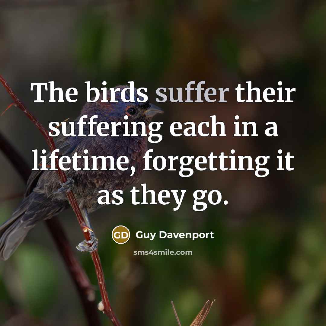 “The birds suffer their suffering each in a lifetime, forgetting…” quote by Guy Davenport