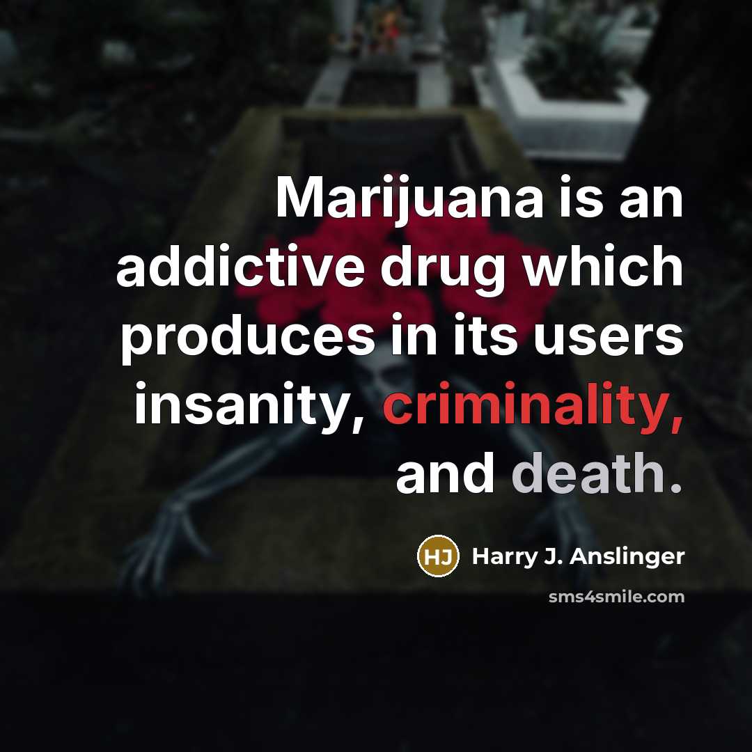 “Marijuana is an addictive drug which produces in its users insanity, criminality, and death.” quote by Harry J. Anslinger