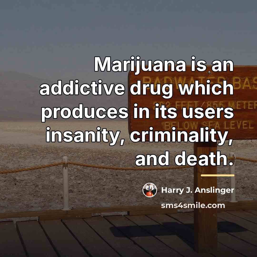 “Marijuana is an addictive drug which produces in its users…” quote by Harry J. Anslinger