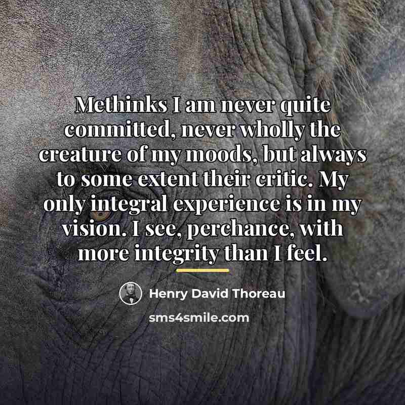 “Methinks I am never quite committed, never wholly the creature…” quote by Henry David Thoreau