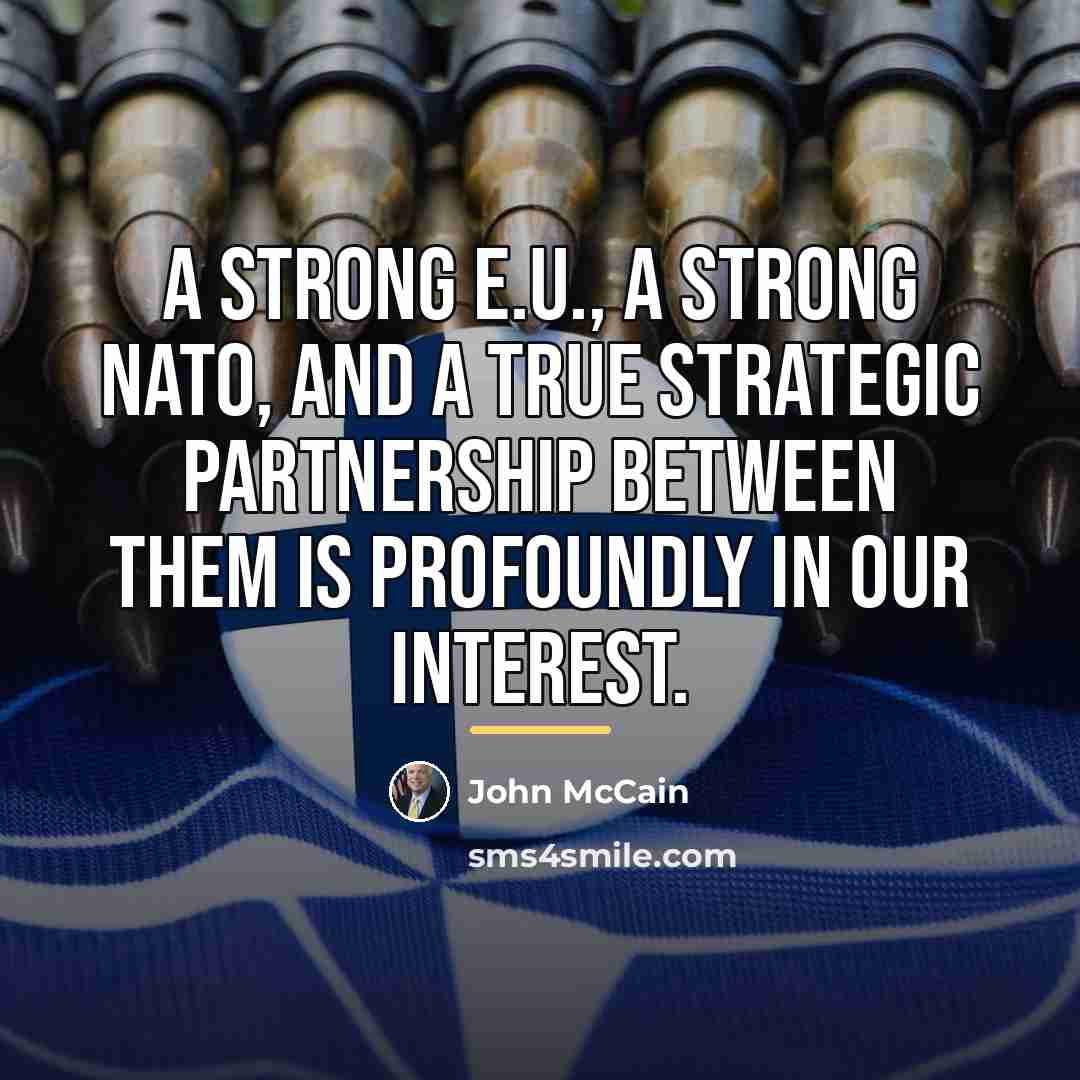 “A strong E.U., a strong NATO, and a true strategic…” quote by John McCain