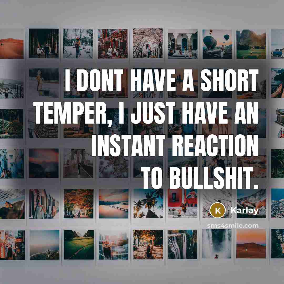 “I dont have a short temper, I just have an instant reaction to bullshit.” quote by Karlay