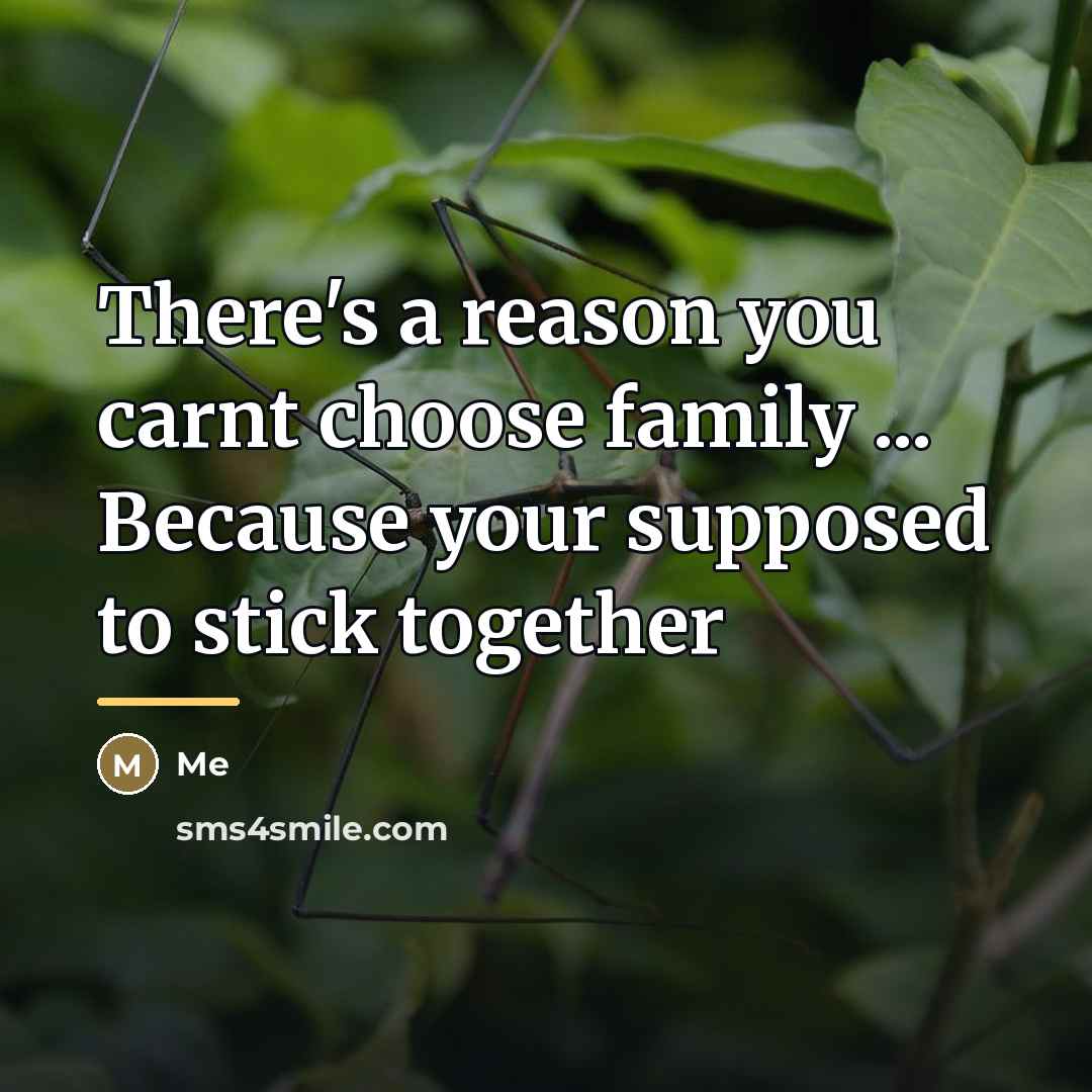 “There's a reason you carnt choose family ... Because your…” quote by Me