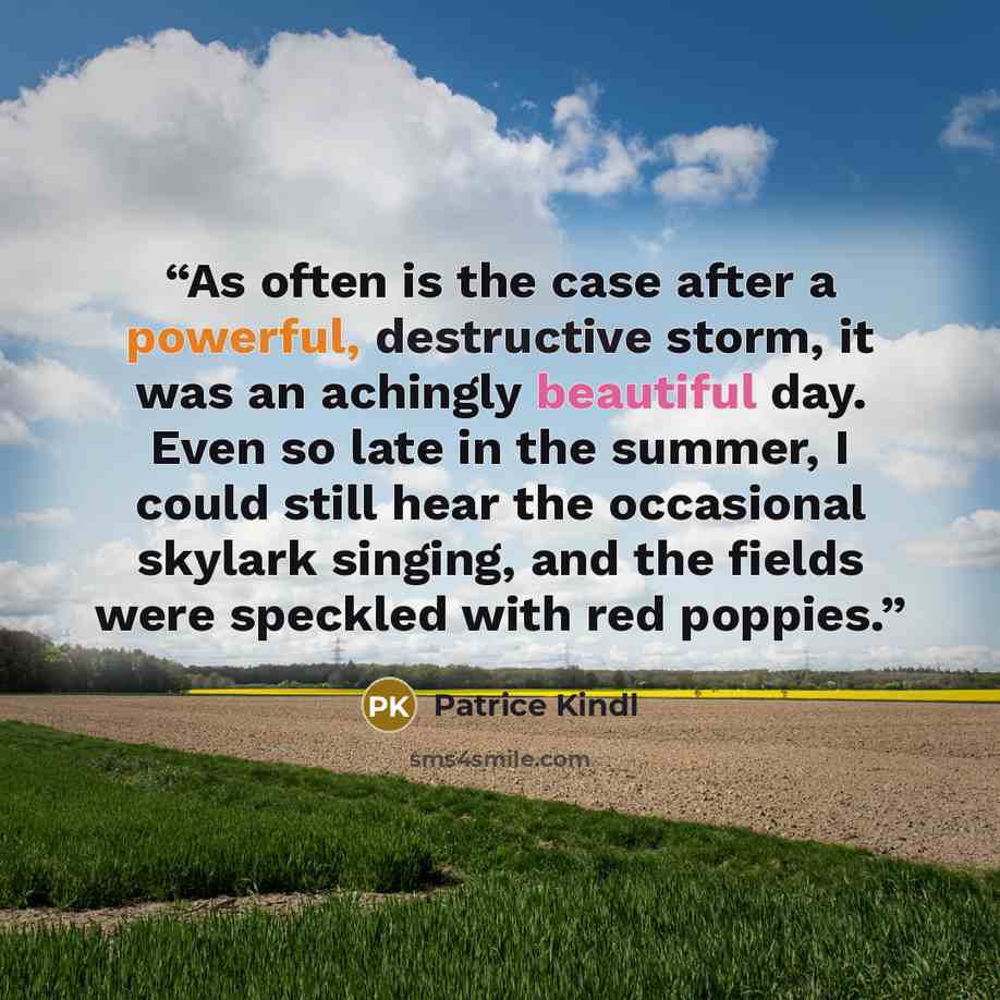 “As often is the case after a powerful, destructive storm, it was an achingly beautiful day. Even so late in the summer, I could still hear the occasional skylark singing, and the fields were speckled with red poppies.” quote by Patrice Kindl