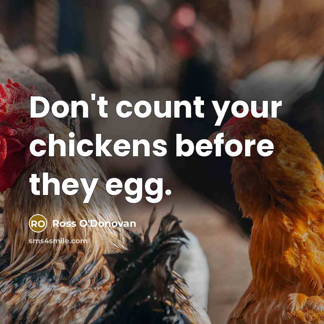 “Don't count your chickens before they egg.…” quote by Ross O'Donovan
