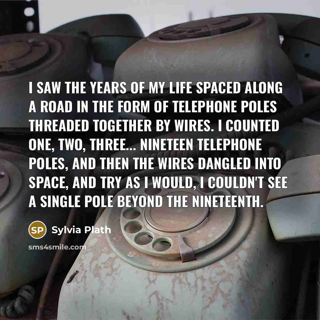“I saw the years of my life spaced along a…” quote by Sylvia Plath