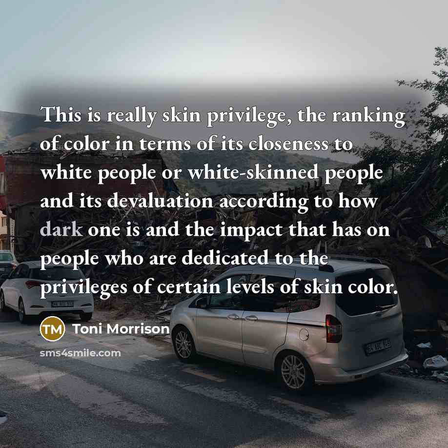 “This is really skin privilege, the ranking of color in…” quote by Toni Morrison