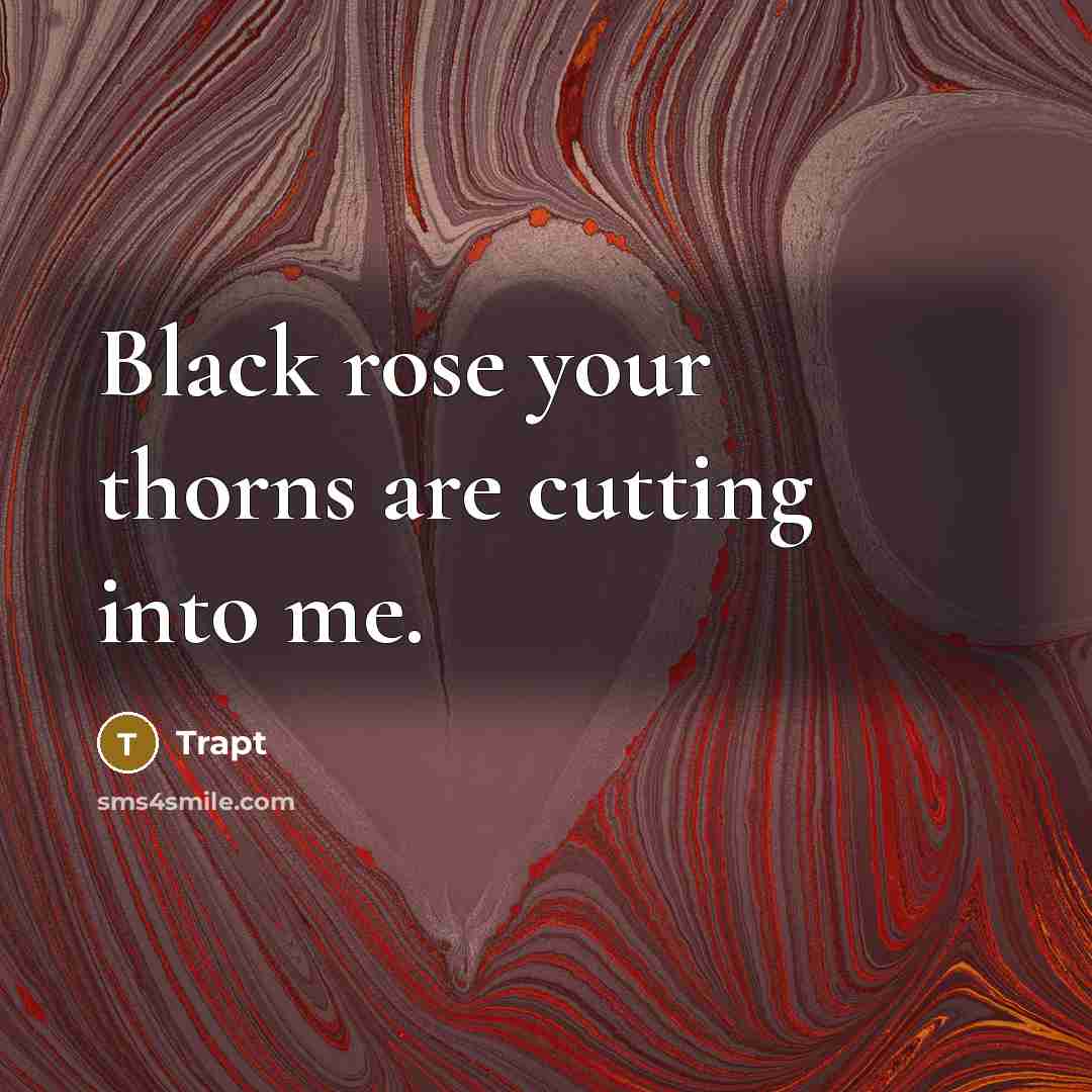 “Black rose your thorns are cutting into me.” quote by Trapt
