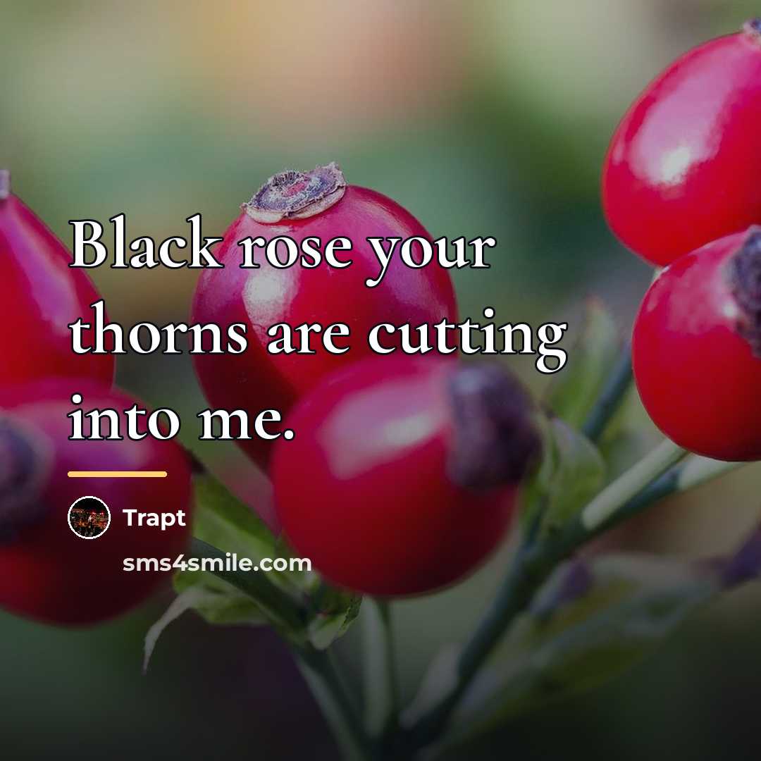“Black rose your thorns are cutting into me.…” quote by Trapt
