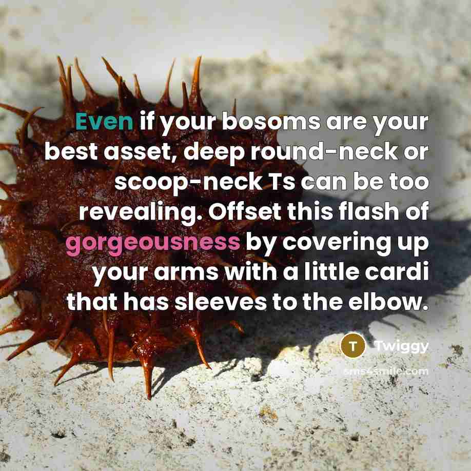 “Even if your bosoms are your best asset, deep round-neck…” quote by Twiggy
