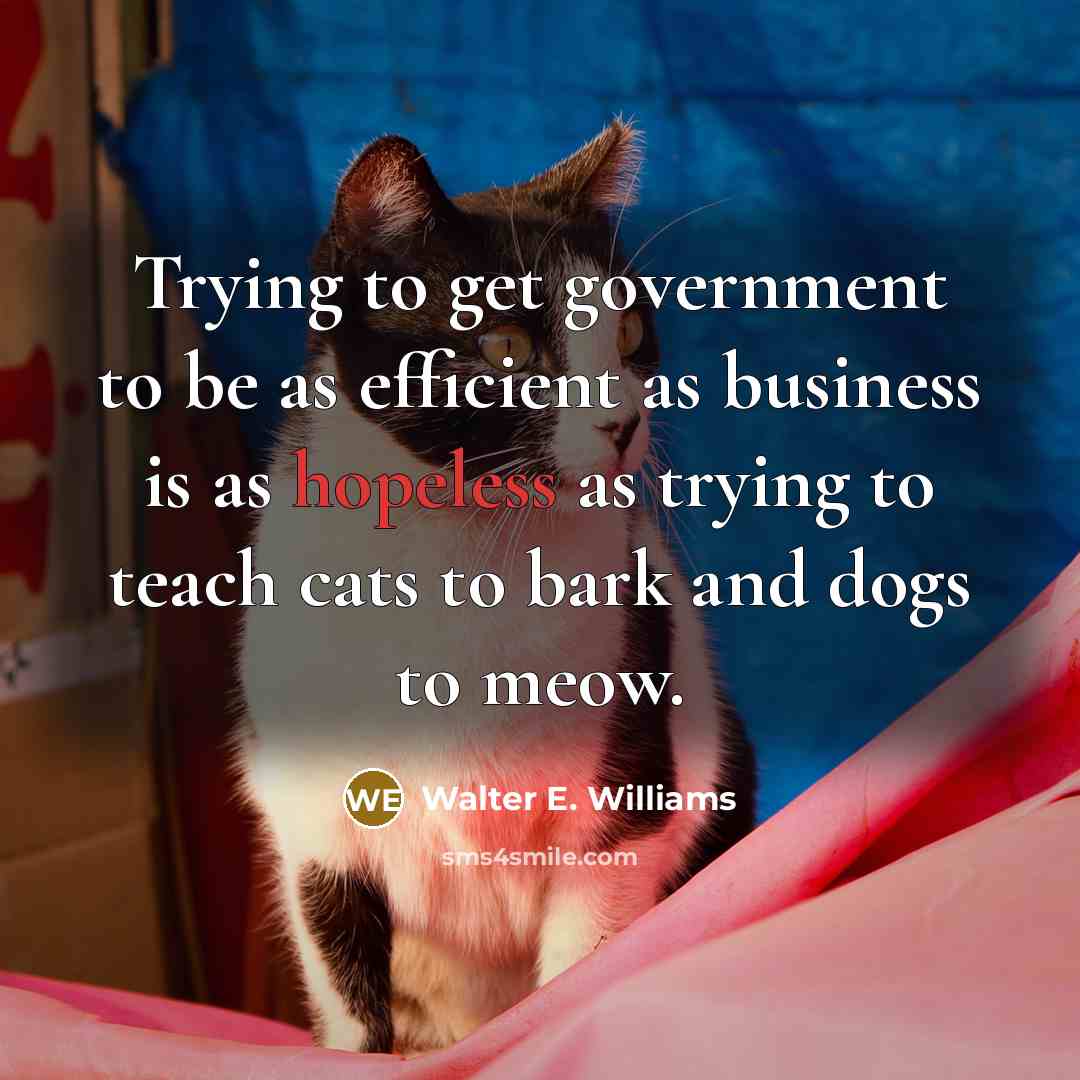 “Trying to get government to be as efficient as business…” quote by Walter E. Williams