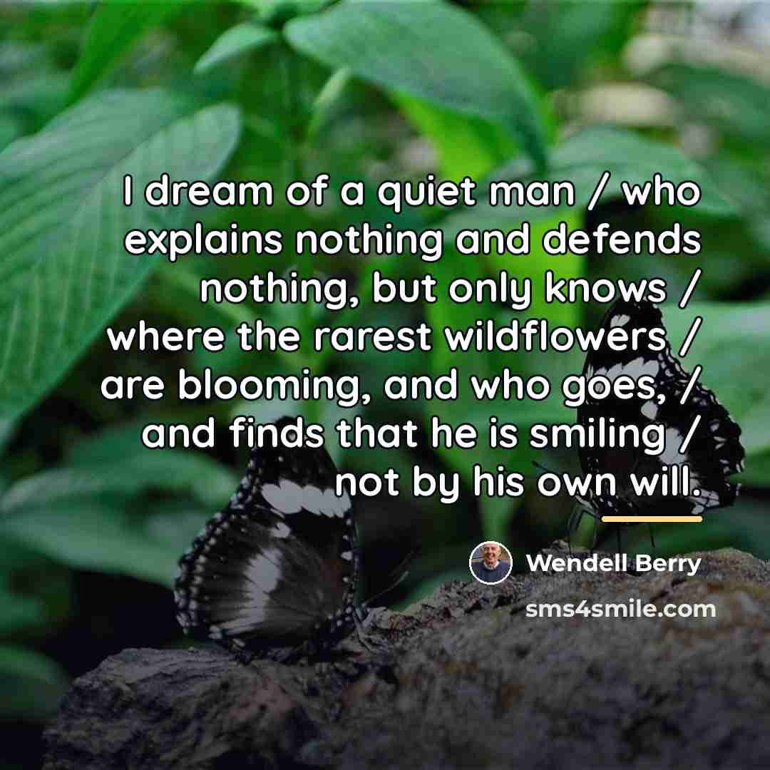 “I dream of a quiet man / who explains nothing…” quote by Wendell Berry