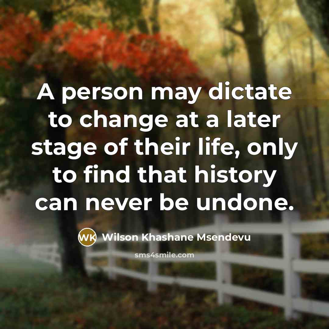 “A person may dictate to change at a later stage…” quote by Wilson Khashane Msendevu