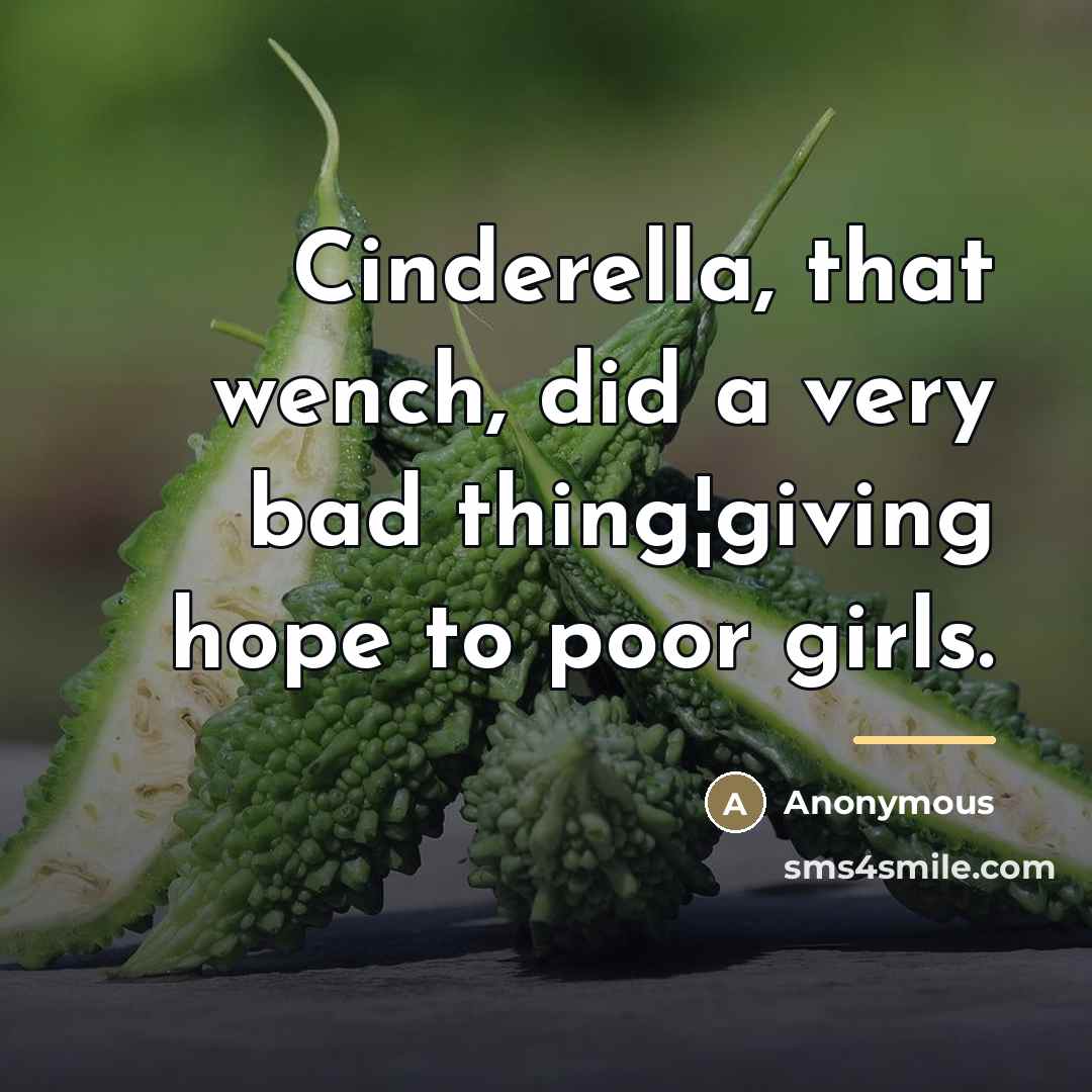 “Cinderella, that wench, did a very bad thing¦giving hope to…” quote by Anonymous
