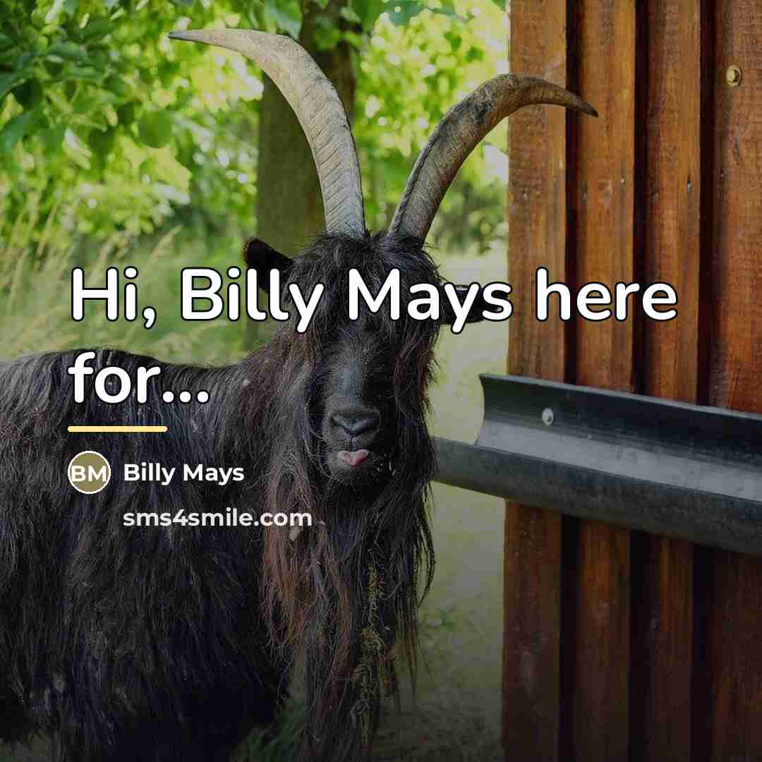 “Hi, Billy Mays here for...…” quote by Billy Mays